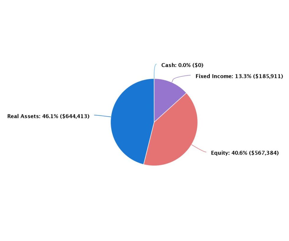 Engaging Financial Plans with Charts - Snap Projections