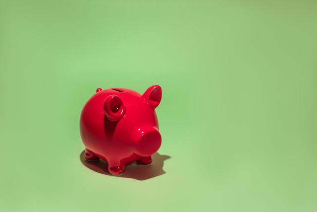 Financial Advisors and Planners can use Snap to help their clients maximize their TFSA contributions.