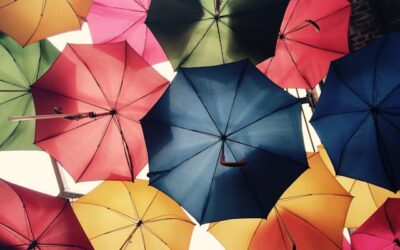 Pourquoi les conseillers effectuent-ils des analyses personnalisées des besoins en assurance ?